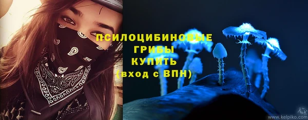 марки lsd Абаза