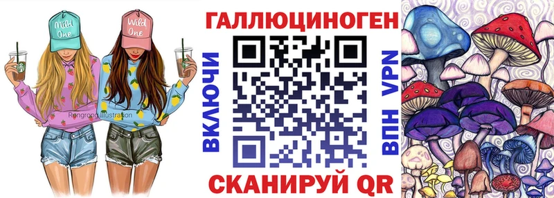 Галлюциногенные грибы Psilocybe  Звенигово 
